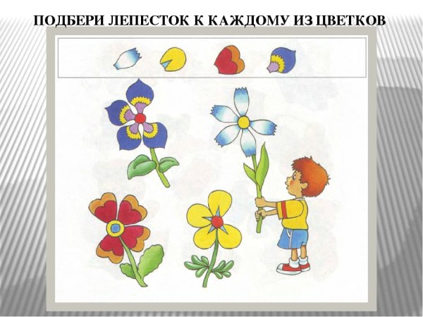 Задания с цветами для дошкольников