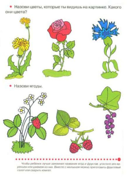 Клумба для детей средней группы