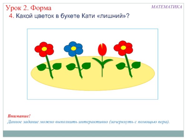 Комнатные растения задания для дошкольников