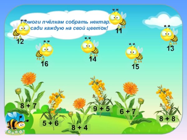 Комнатные растения задания для дошкольников