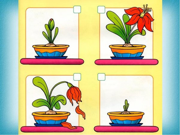 Ромашки с примерами для дошкольников