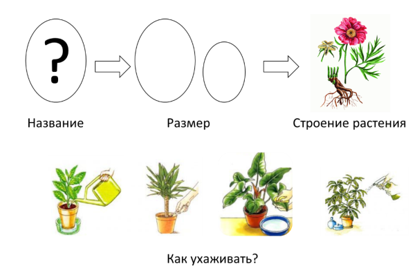 Насекомые задания для дошкольников