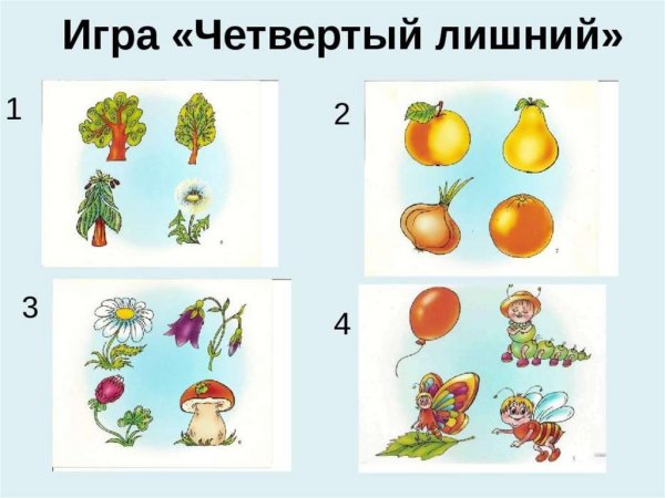 Задания о лете для дошкольников