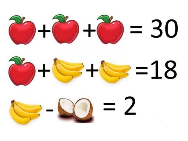 Цветы комнатные садовые полевые