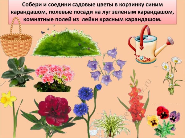 Больше меньше задания для дошкольников