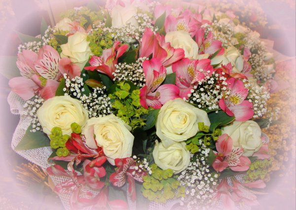 Цветы для Аллочки