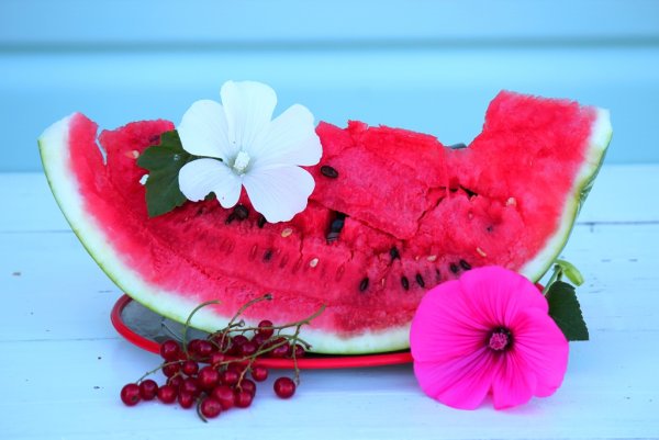 Красивые цветы и Арбуз