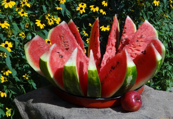 Арбуз и дыня
