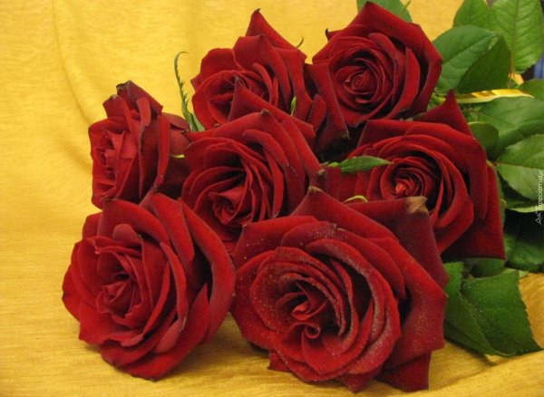 Самого доброго дня анимации