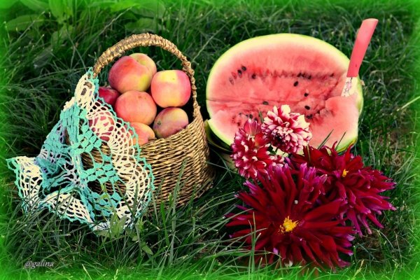 Натюрморт на траве