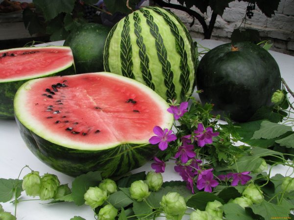 Арбуз и дыня на рабочий стол