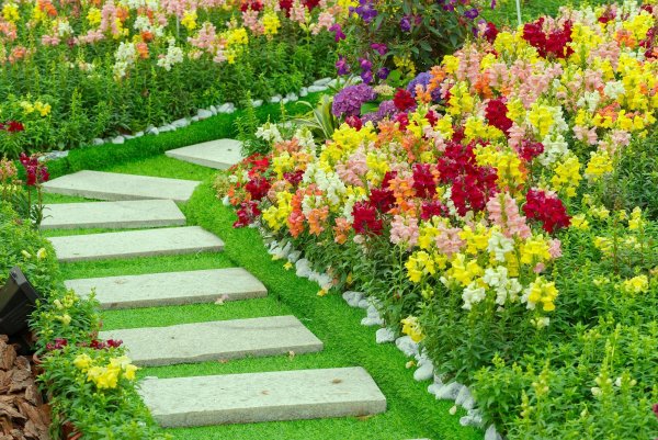 Рабатки для грядок