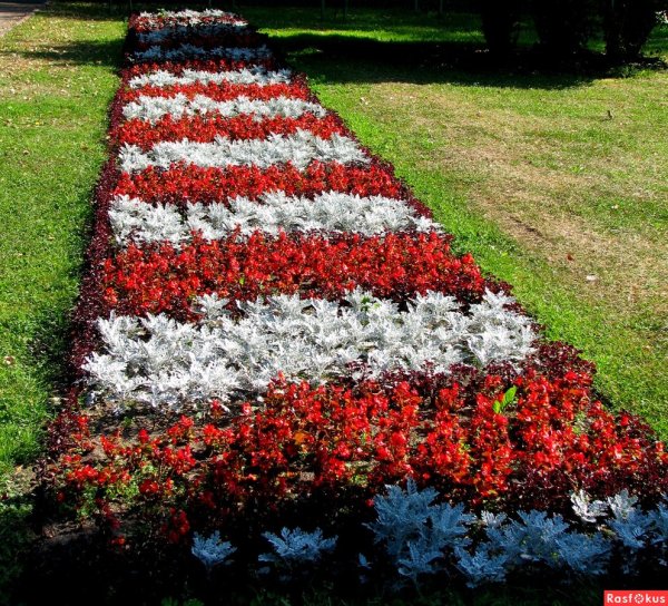 Дорожка с цветами