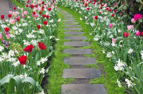 Рабатка симметричная