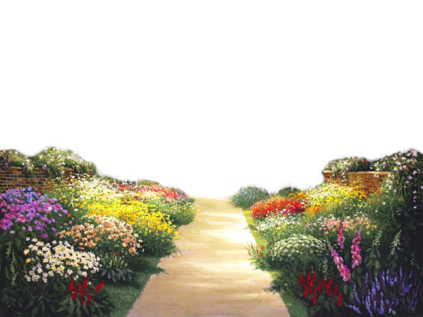 Эскиз цветника-рабатки