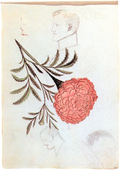 Иллюстрация к стихотворению Пушкина цветок