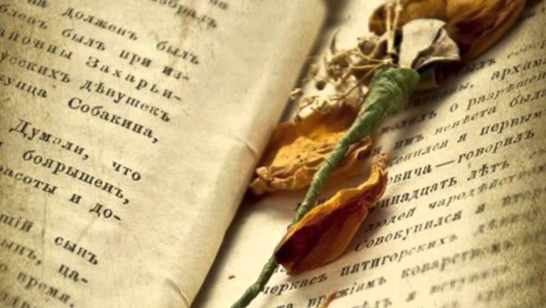 Иллюстрации к лирике Пушкина