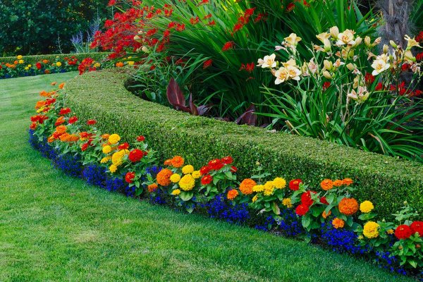 Сад с цветами