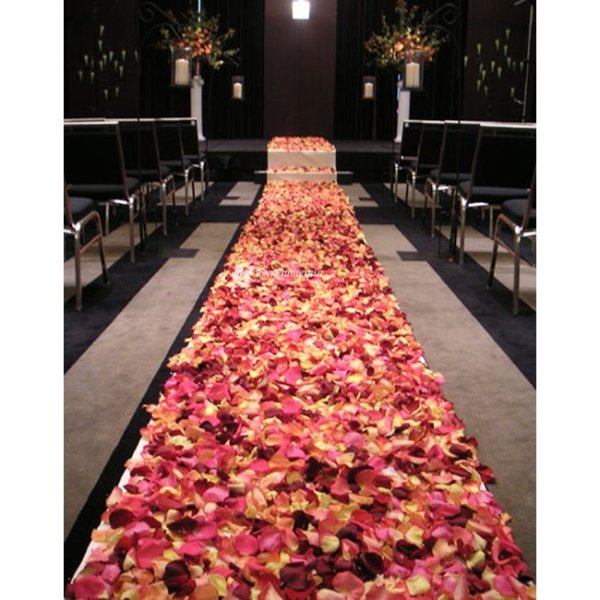 Дерево с красивыми цветами