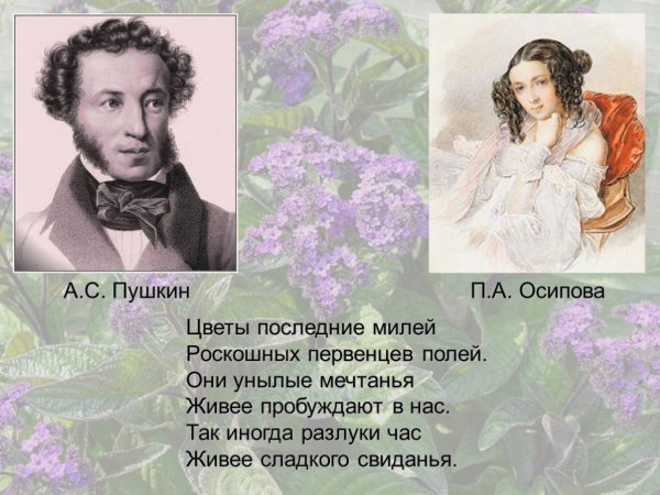 Александр Сергеевич Пушкин цветок
