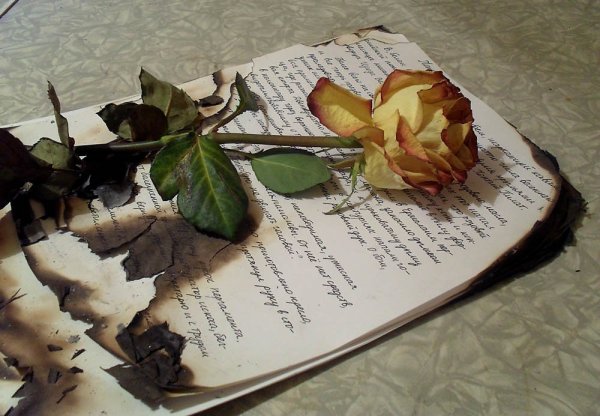 Профиль Пушкина автопортрет