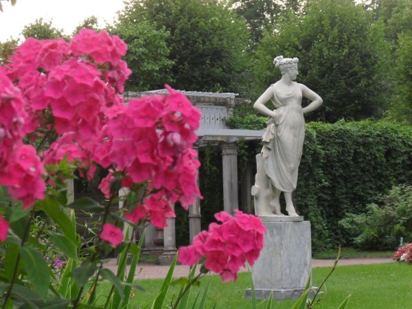 Стих цветок Пушкин