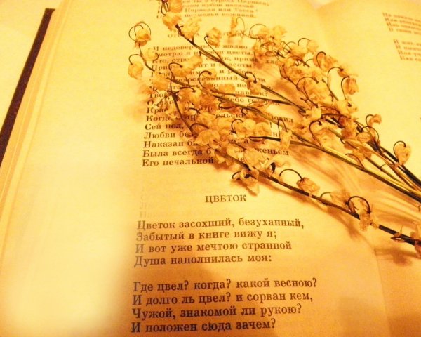 Надя Рушева Евгений Онегин