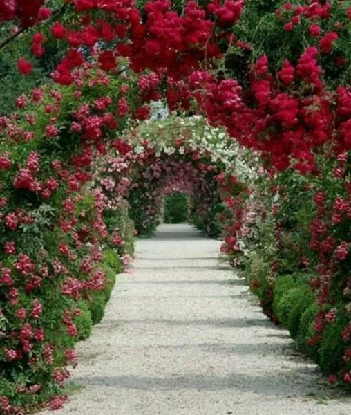 Эскиз бордюра в ландшафте