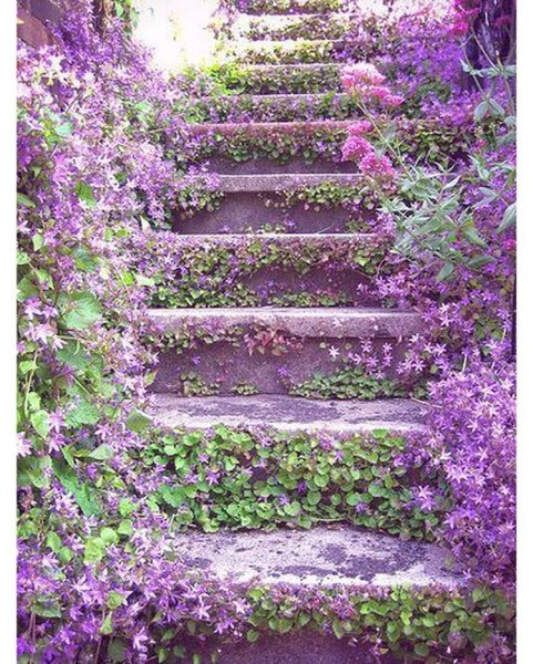 Тропинки в саду