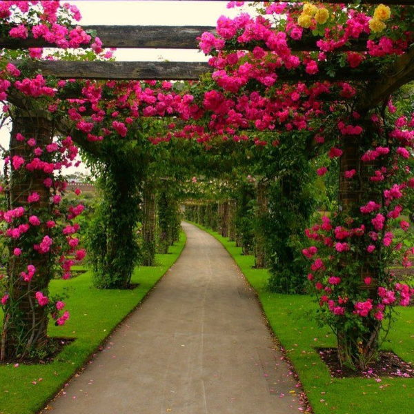 Красивый парк