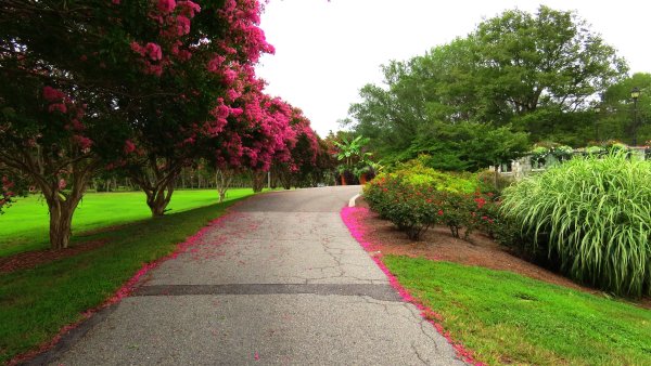 Тропинка в поле