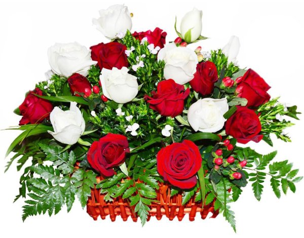 Цветы поздравительные букеты