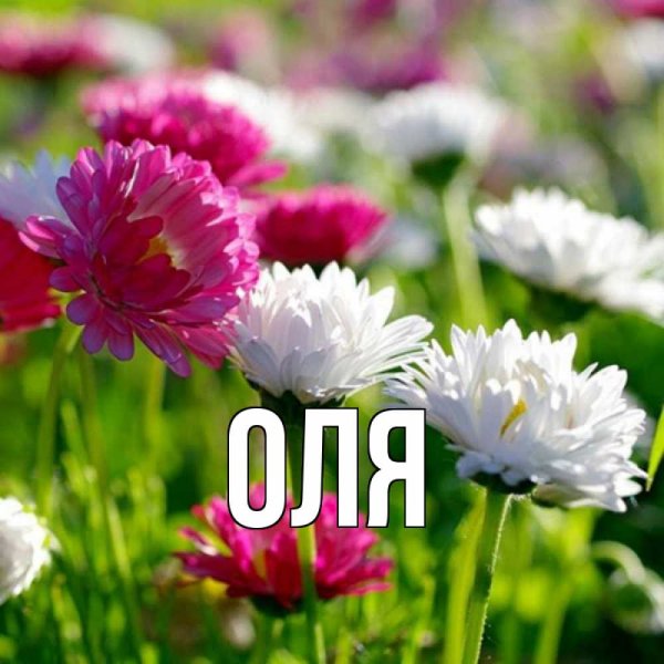 Цветок гуль