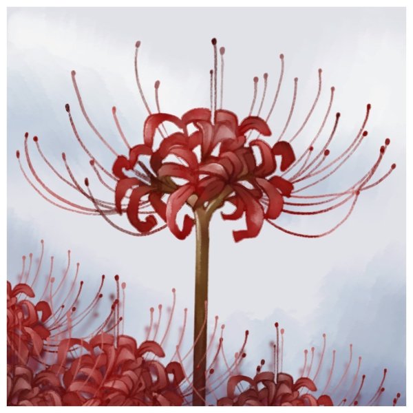 Ликорис Лучистый Токийский гуль