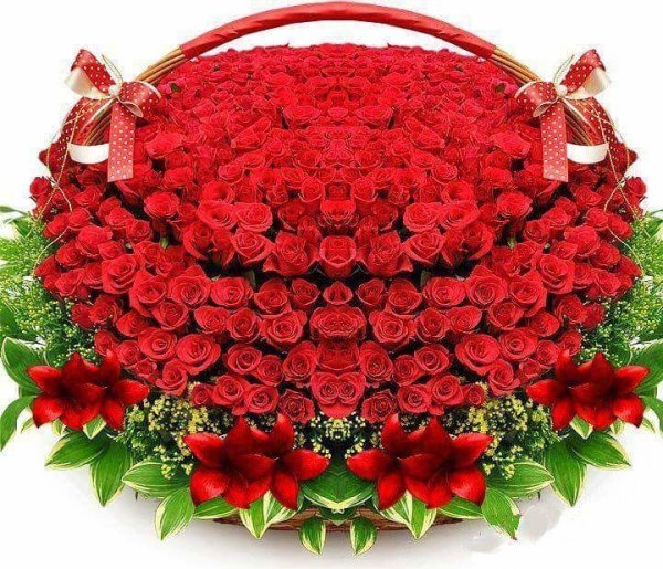 Хиганбана (красная Паучья Лилия)