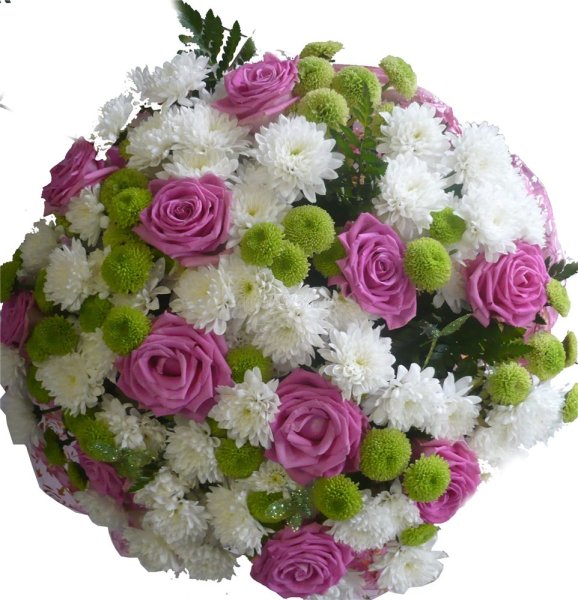 Цветы Сакуры