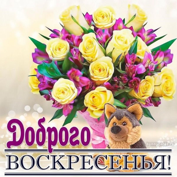 Доброго воскресенья