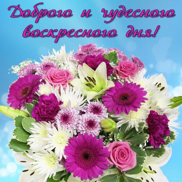Красивые букеты с пожеланиями