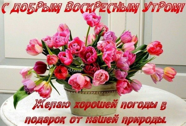 Доброе утро воскресенье цветы красивые
