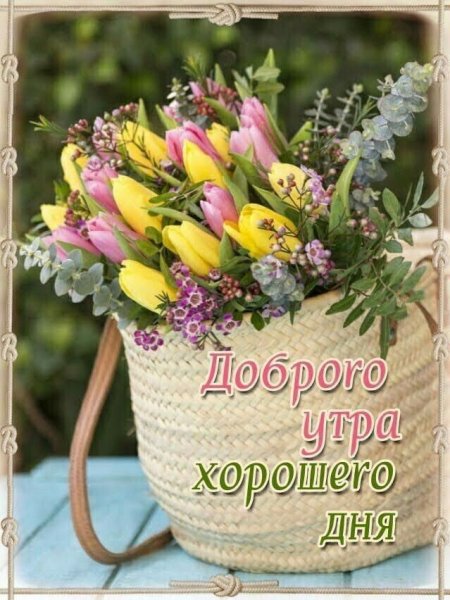Светлого дня
