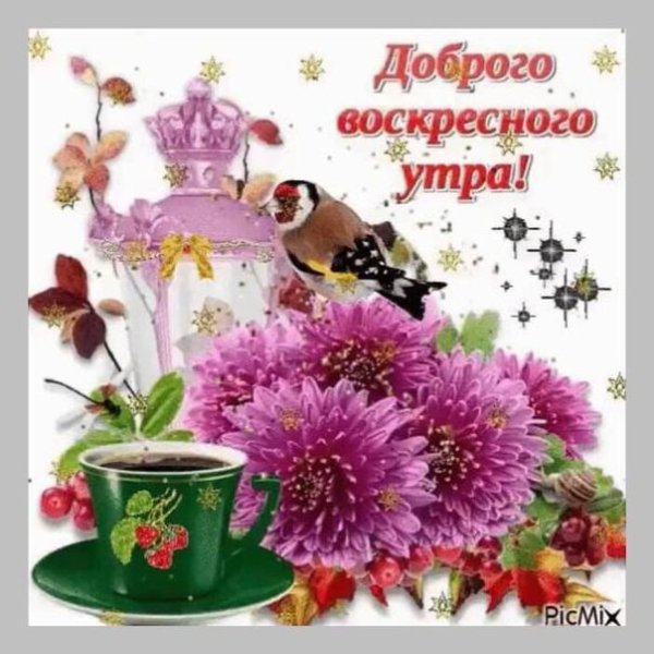 Открытки с добрым утром воскресенья