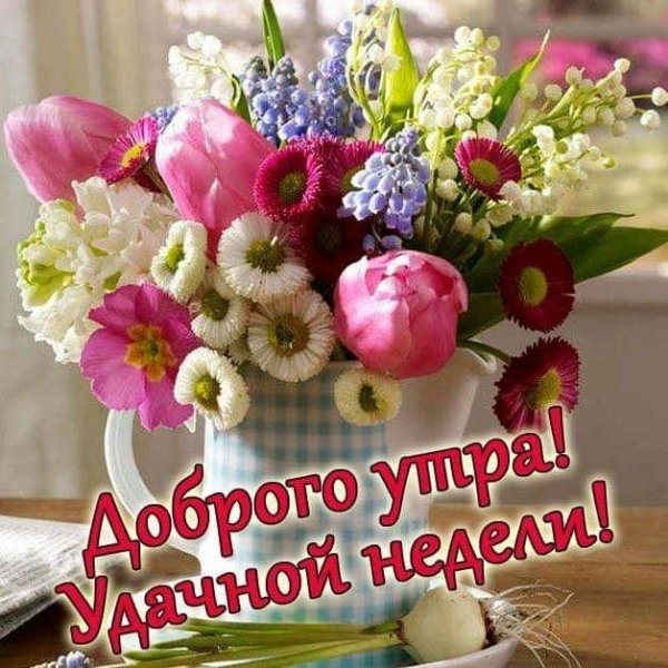 Светлого дня и отличного настроения