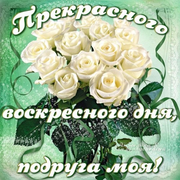 Прекрасного воскресного дня и замечательного настроения