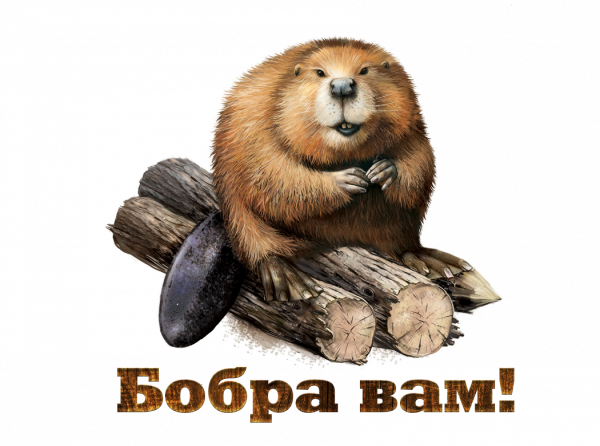 Бобр картина