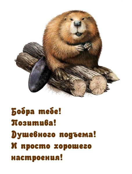 Доброе утро бобры