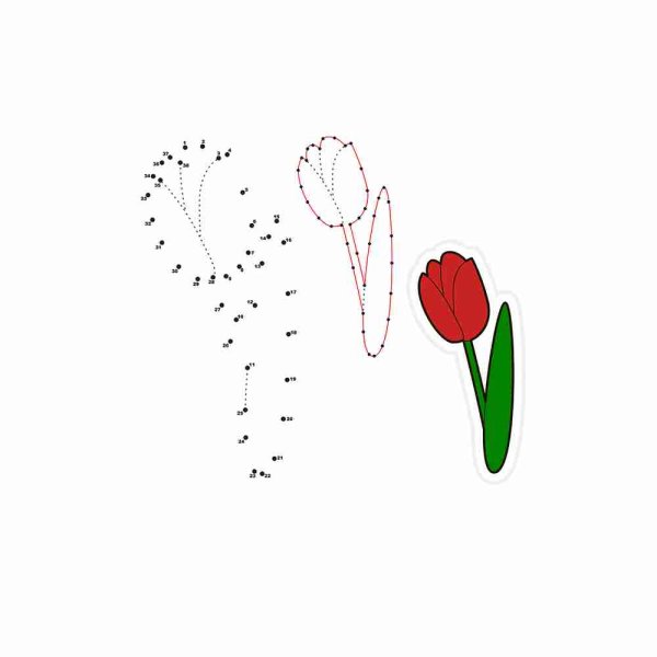 Цветок по точкам