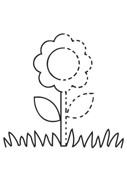 Цветы для обводки