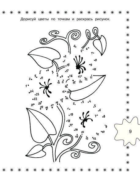 Цветы для обводки