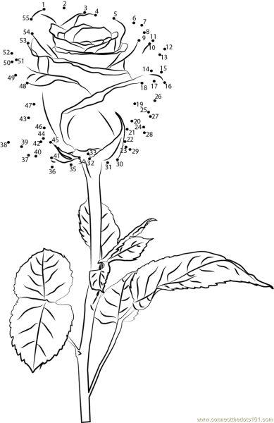 Рисование цветов по точкам