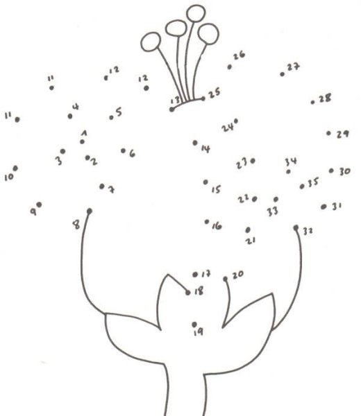 Задания на тему цветы